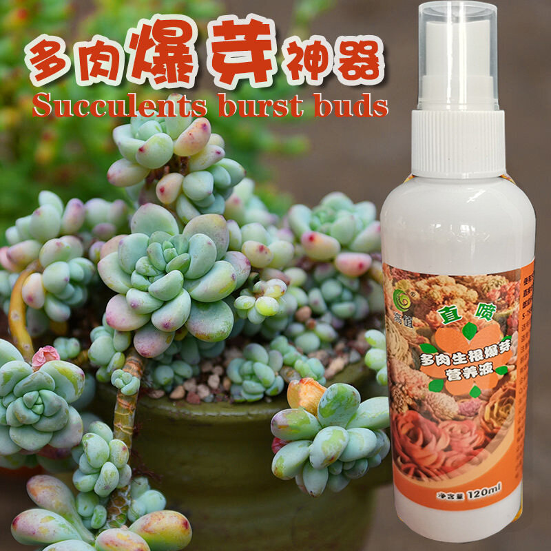 Special fertilizer for succulents to increase fertilizer and color, take root and burst buds, potted flower fertilizer