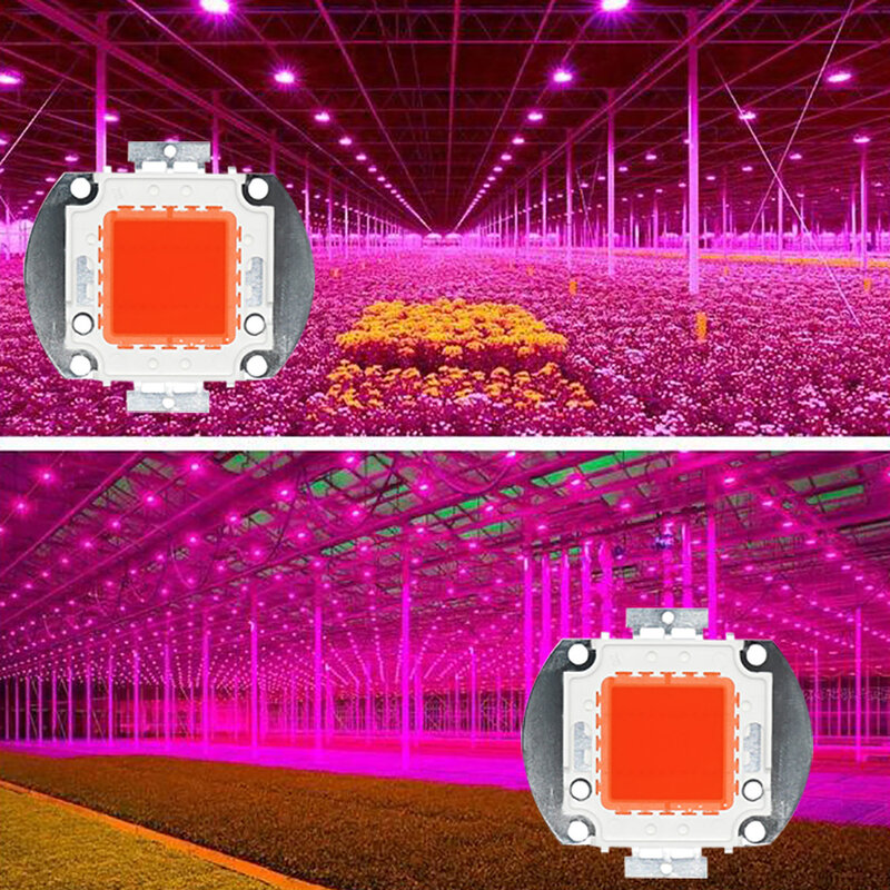 Full Spectrum LED Chip Plant Light Lâmpada de cobre para holofote, Estufa hidropônica, Estufa interior, 100W, 50W, 30W, 20W, 10W, 1Pc