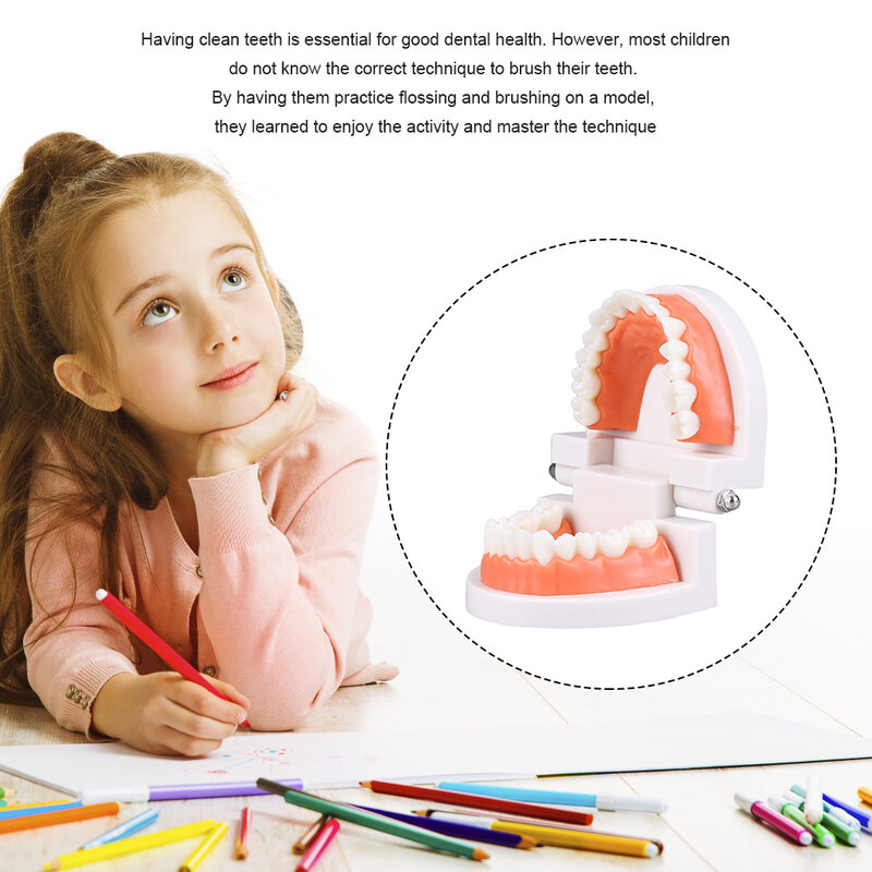 أدوات تعليمية تفاعلية للأطفال للآباء والأطفال ، محاكاة ألعاب تعليمية ، تنظيف الأسنان ، ملحق رياض الأطفال