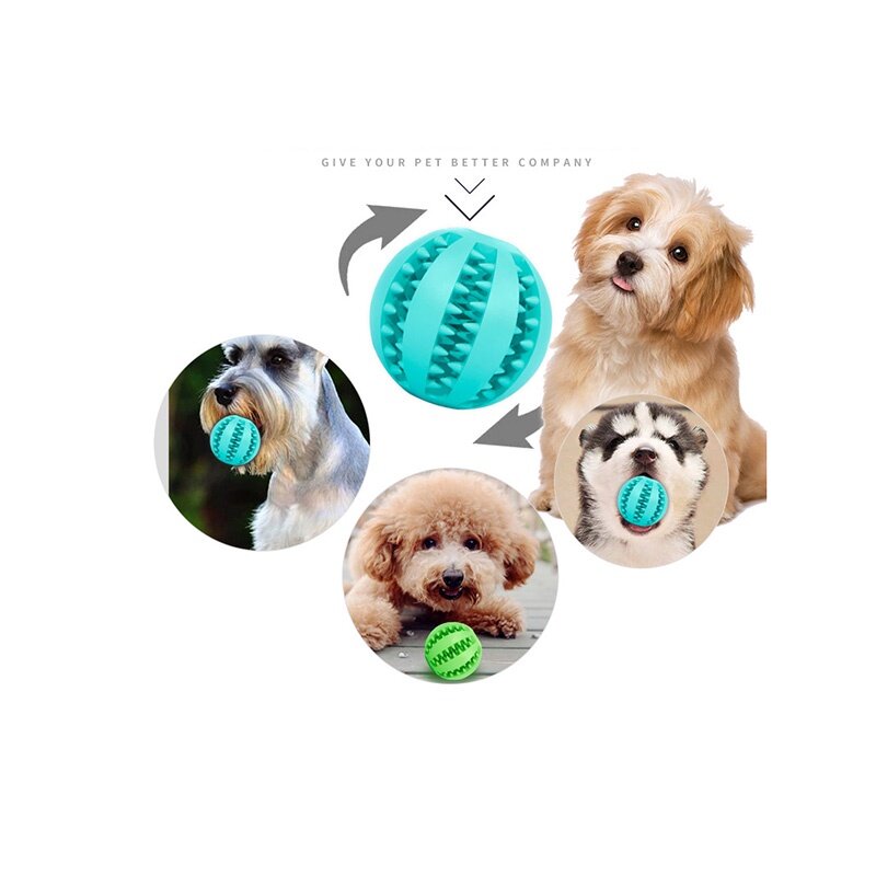 Huisdier Hond Speelgoed Interactieve Rubberen Ballen Voor Kleine Grote Honden Puppy Kat Kauwen Speelgoed Huisdier Tand Schoonmaken Onverwoestbare Hondenvoer Bal
