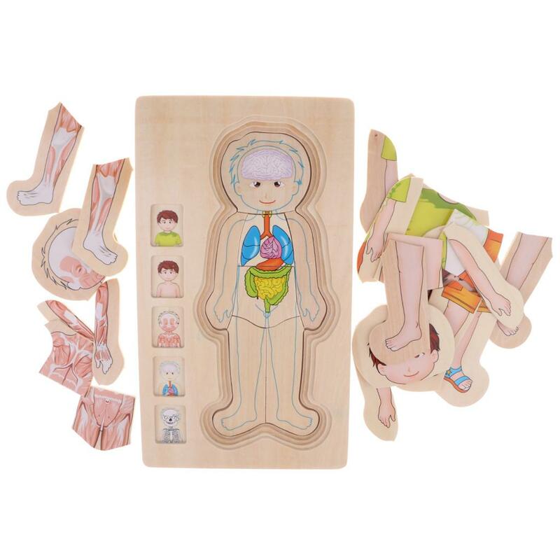 Rompecabezas de madera para niños, juguete de enseñanza para preescolar, guardería, estructura corporal