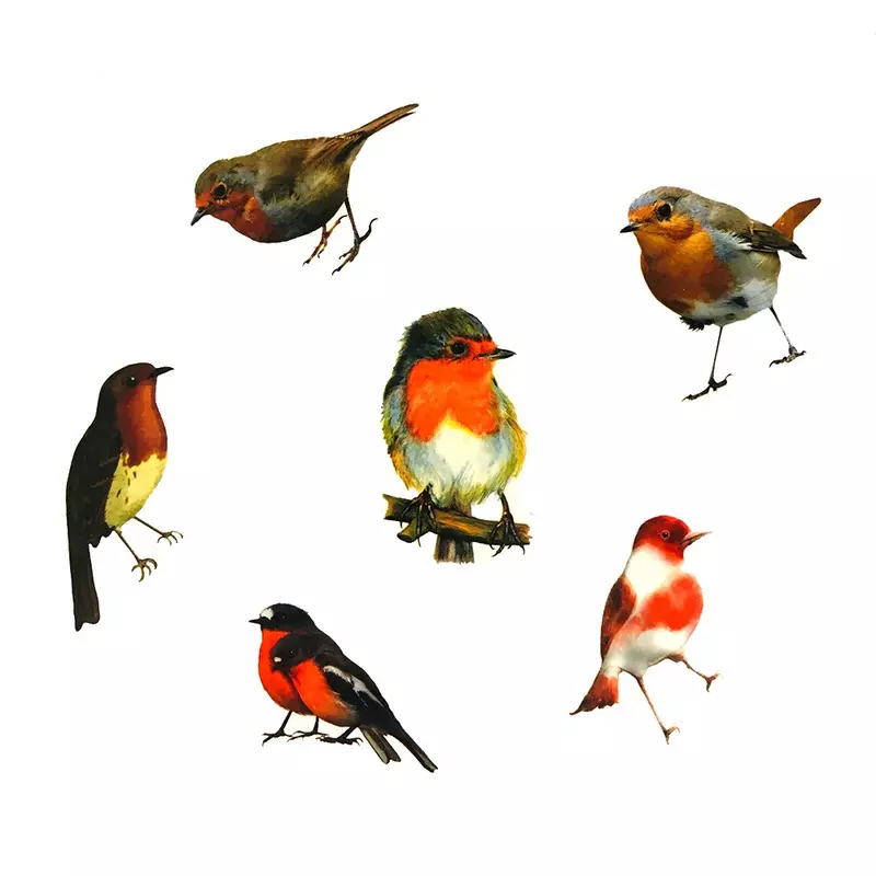10/30/50PCS Realistic Color Robin Bird Cute Sticker For Toy Luggage Notebook DIY Cup Journal Phone Case Window Sticker Wholesale