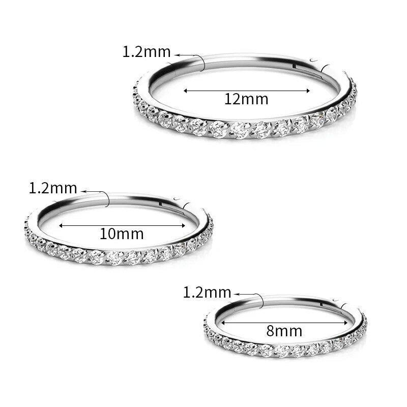 Titanium G23 Earrings Hoop Round Tragus Cartilage Helix Daith Lip Hinged Clicker Segment Ear Nose Ring Body Piercing Jewelry