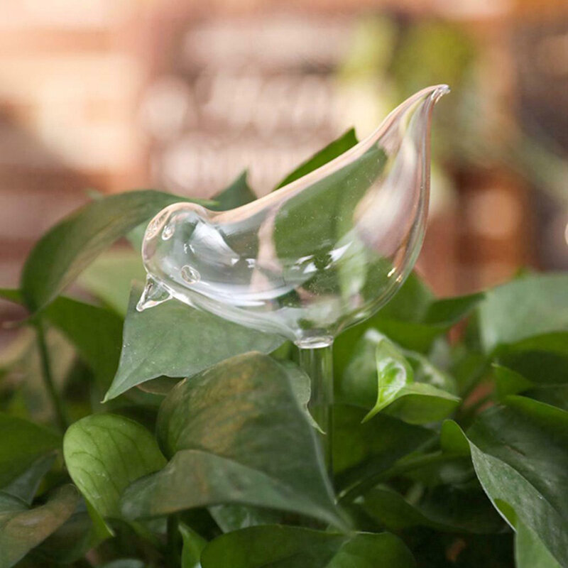 자동 꽃 급수 장치 식물 물주기 자체 급수 글로브, 새 모양, 손으로 날린 투명 플라스틱 아쿠아 전구, 1 개