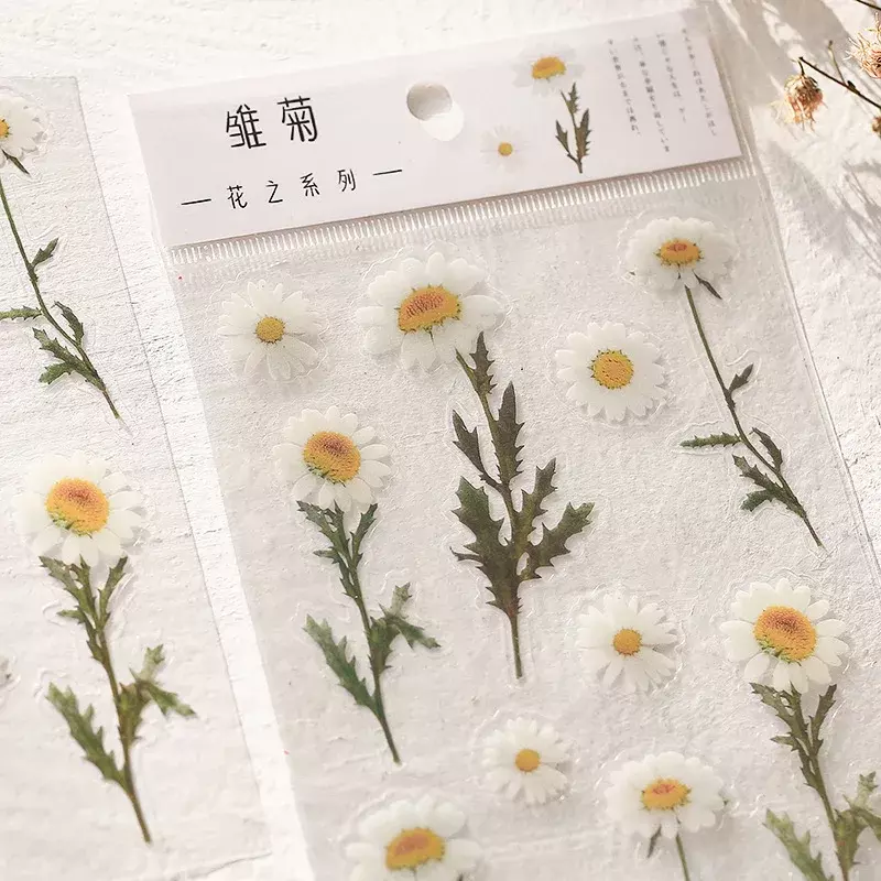 ملصقات الكلمات اليابانية بزهرة الأقحوان الطبيعية ، مادة شفافة للحيوانات الأليفة ، ديكو نباتات أوراق الزهور ، 6 تصاميم