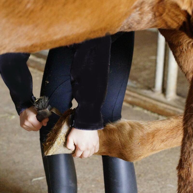 Cavalo hoof picareta escova ferramenta equestre grooming limpeza barbeiro 2 em 1 animal casco escova equestre equipamentos