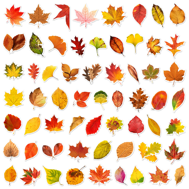 60 buah stiker grafiti seri daun musim gugur cocok untuk helm Laptop Dekorasi Desktop mainan stiker DIY grosir