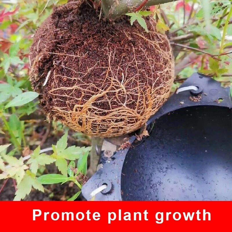10Pcs ความดัน Propagation Ball พันธุ์พืช Rooting สำหรับ Garden Graft กล่อง Sapling อุปกรณ์ Graft กล่อง