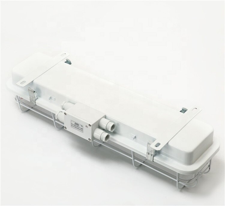JCY23-2EFマリン防水サンディング蛍光ペンダントライト、ガード付き固定具ip56、g13