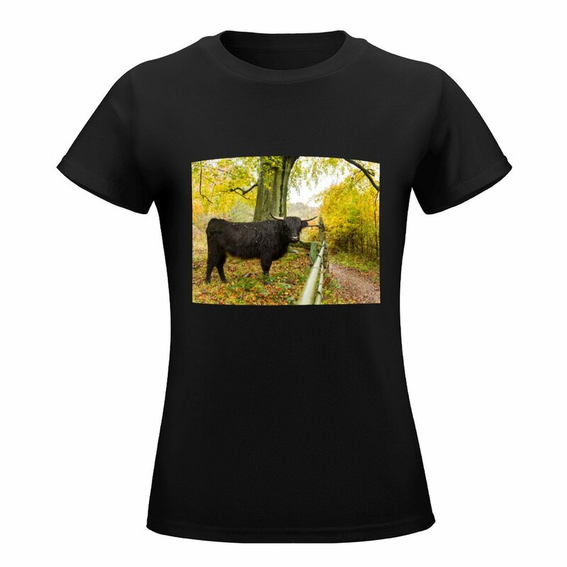하이랜드 소 및 가을 날 티셔츠, 동물 프린트 셔츠, 소녀 플러스 사이즈 상의, 여성 의류