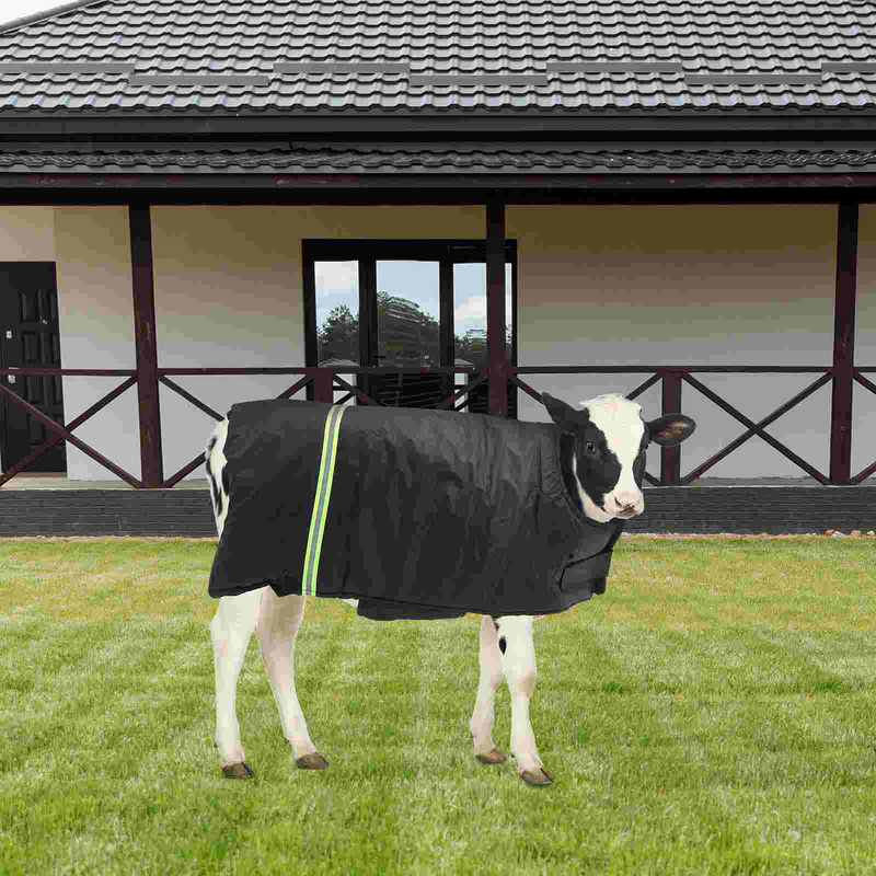 Warm Cow Calf Apparel Cow Cow Calf Warm Clothing Thicken Apparel Silk Floss Cow Belly