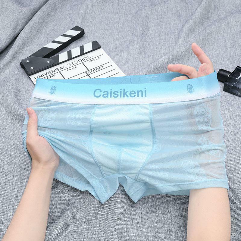 Men Lace Underwear Fashion Gays Convex Pouch Panties Sexy Mesh Semi Transparent Summer Thin Ice Silk Boxer Shorts Sissy Lingerie
