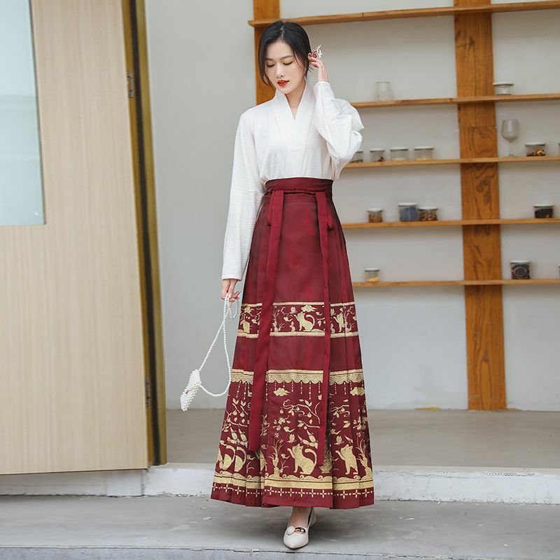 Traditionelle chinesische Hanfu Kleid Frauen alten Pferd Gesicht Rock weibliche Fee Cosplay Kostüm Ming Dynastie Hanfu Party Outfit
