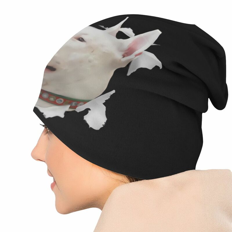 Bull Terrier Dog Face uomo donna berretti sottili berretto da sci antivento Skullies Bonnet Hat
