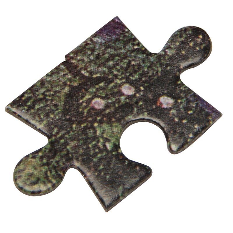 1000 Pieces DIY Jigsaw Puzzle Adult Puzzles Children Educational Toys Decoration 1019