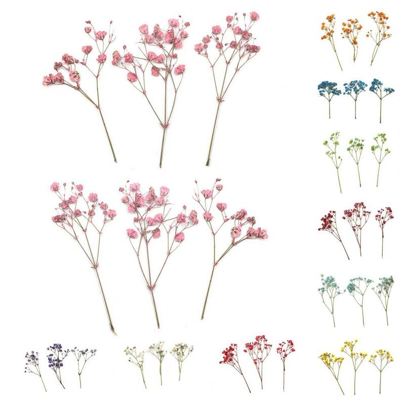 12 buah karangan bunga Gypsophila Fashion warna-warni kering bunga Gypsophila realistis karangan bunga kering