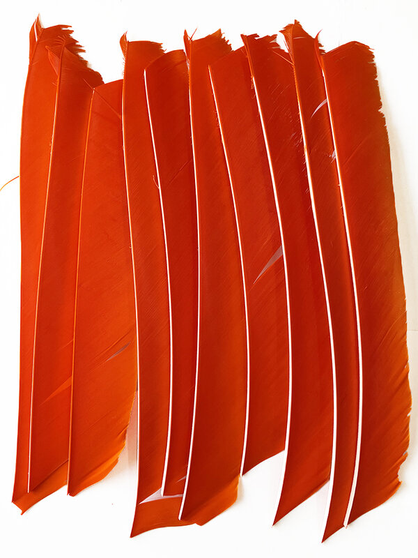 화살용 칠면조 깃털, 여러 가지 빛깔의 실제 화살 깃털, 양궁 활 액세서리, 전체 길이 18-25cm, 25 개