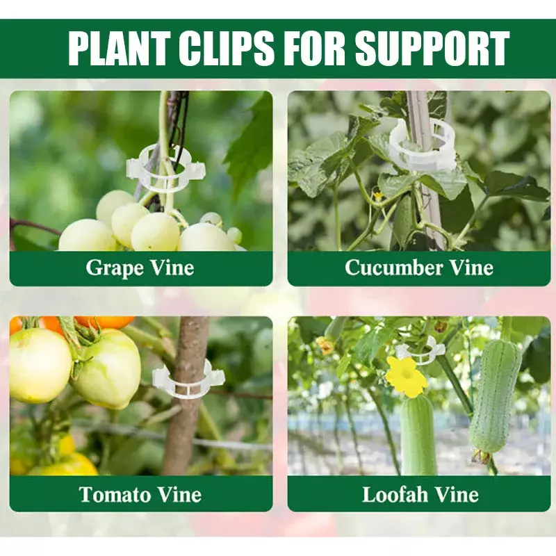 Clip de pimienta de 50 piezas para plantas, herramienta de fijación de conexión de vid reutilizable, Clip de plantas trepadoras para tomate