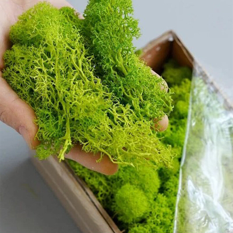 Eternal Life Moss DIY Crafts Grass Artificial Green Plants   Home Room Garden Decor Mini Landscape Fake Grass 20/40/100g