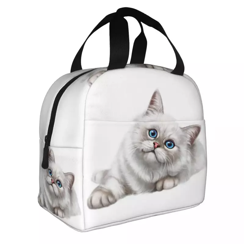 Niedliche hinterhältige Katze Lunch Bag tragbare thermische Kühler isolierte Lunch Tote Box für Frauen Kinder Büro Picknick Reise Food Taschen