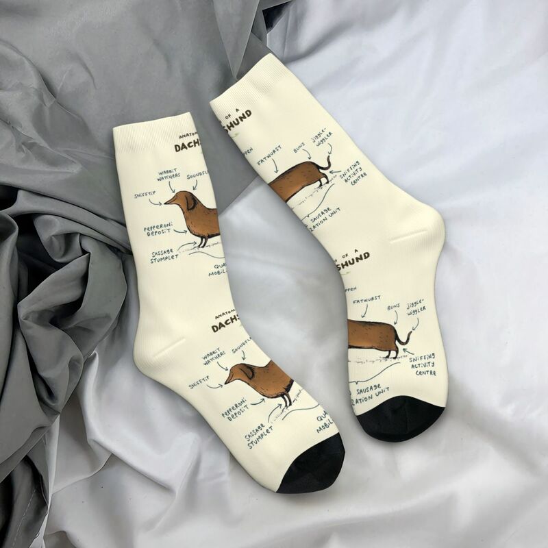 Анатомия таксы носки Харадзюку высококачественные чулки всесезонные длинные носки аксессуары для унисекс подарок на день рождения