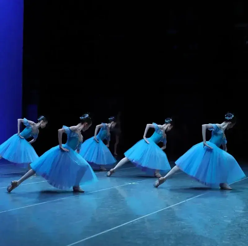 Rok balet, kinerja anak-anak kompetisi profesional pakaian penampilan biru langit rok panjang rok kanopi
