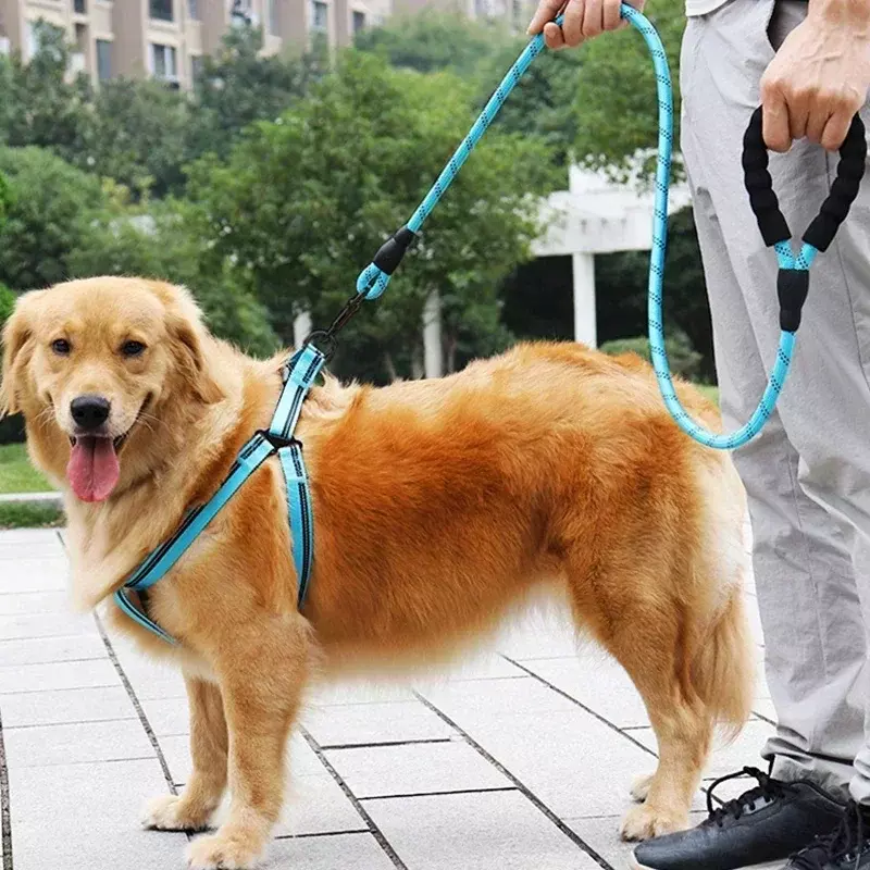 Guinzaglio per cani guinzaglio riflettente in Nylon resistente addestramento guinzagli per cani di sicurezza corde Labrador bulldog francese guinzagli per imbracatura 150/200/300cm