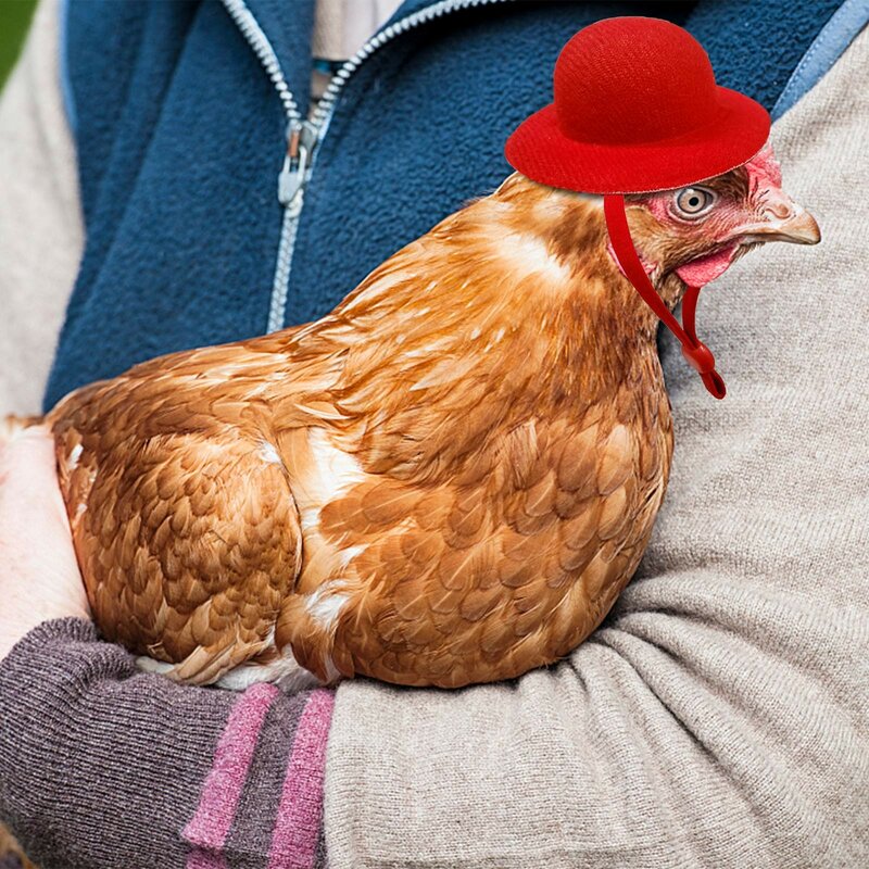 암탉 치킨 모자 액세서리 귀여운 작은 애완 동물 할로윈 코스프레 깃털 모자, 새로운 수탉 가금류 쇼 코스튬 2022