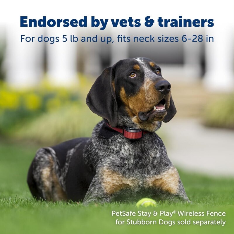 PetSafe Collar receptor inalámbrico para mascotas, resistente al agua y recargable, corrección de tono y estática, Stay & Play