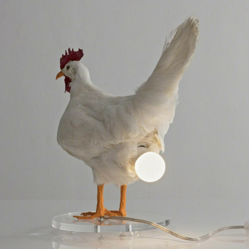 Chick Night Light เครื่องประดับนี้ Taxidermy ไข่ไก่โคมไฟมีอยู่และเรา Begrudgingly รัก Creative Night โคมไฟ Home Decor