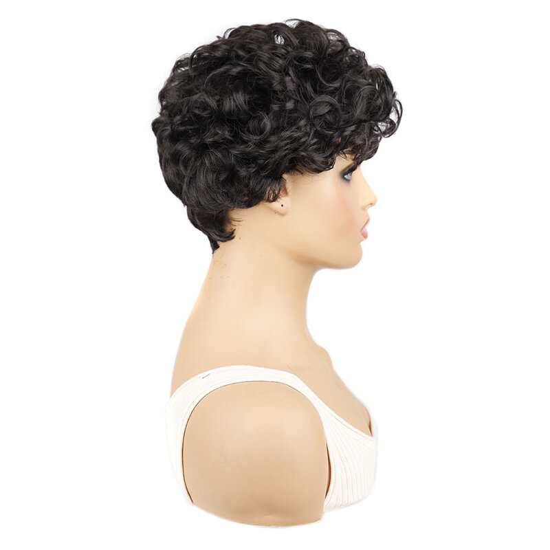 Short Curly Daily Wigs with Bangs Synthetic Wig for African Women Braided Wigs for Women Human Hair