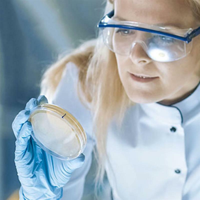 10 Stück 60mm Klarglas Petrischalen mit Deckel Mikro organismen Zelle klar sterile Instrument Tropfen Petriplatten Labor bedarf