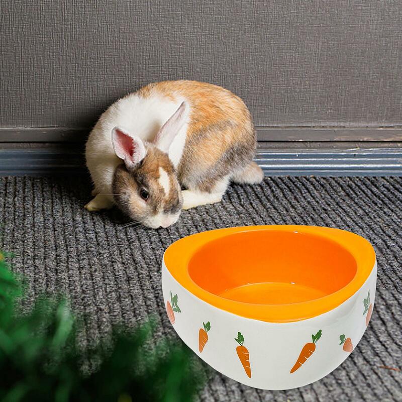 Non Slip Rabbit Feeder Bowl Hamster Ceramic Bowl Feeding Basin Bowl Cat Dog Food Bowl for Puppy Kitten Small Animals Birds