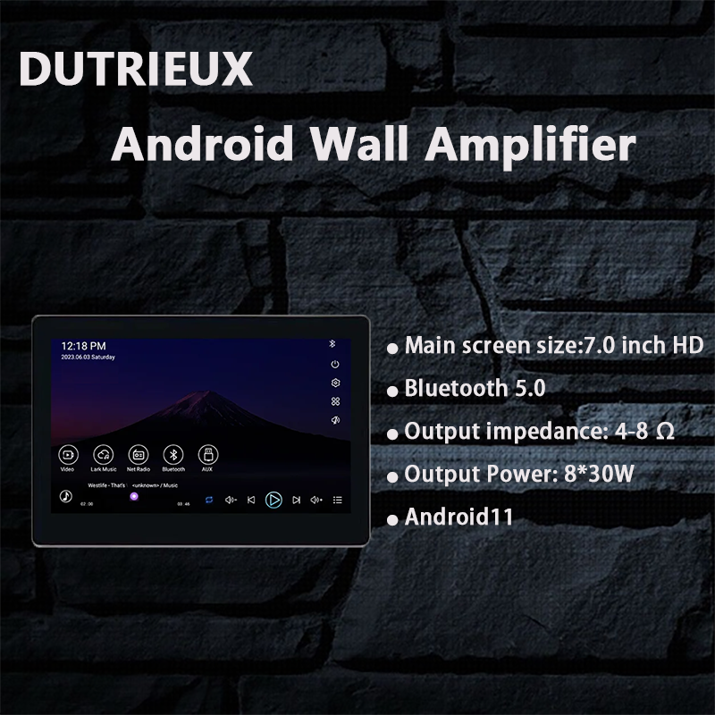 7 inch wifi android 11 touch screen TF card mini USB google play youtube spotify online video wall amplifier panel bluetooth