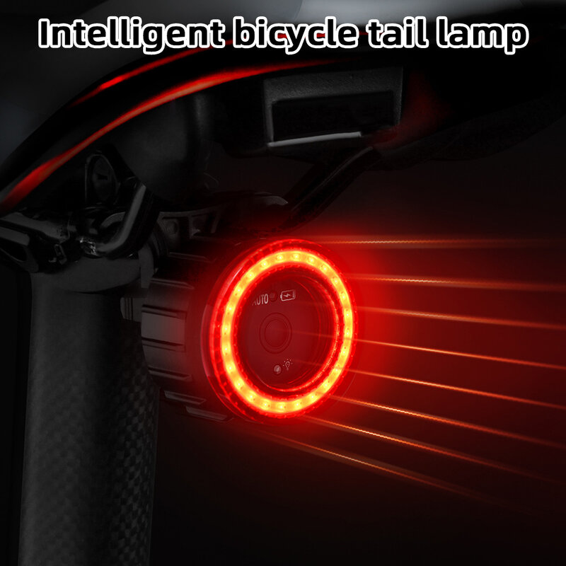 Smart Brake Tail Light Waterproof Car Tail Light For Night