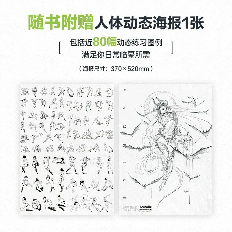 Libro de enseñanza de anatomía humana para artistas, libro de colección de arte de copia de figura de juego de Anime, principio de estructura del cuerpo humano y pintura
