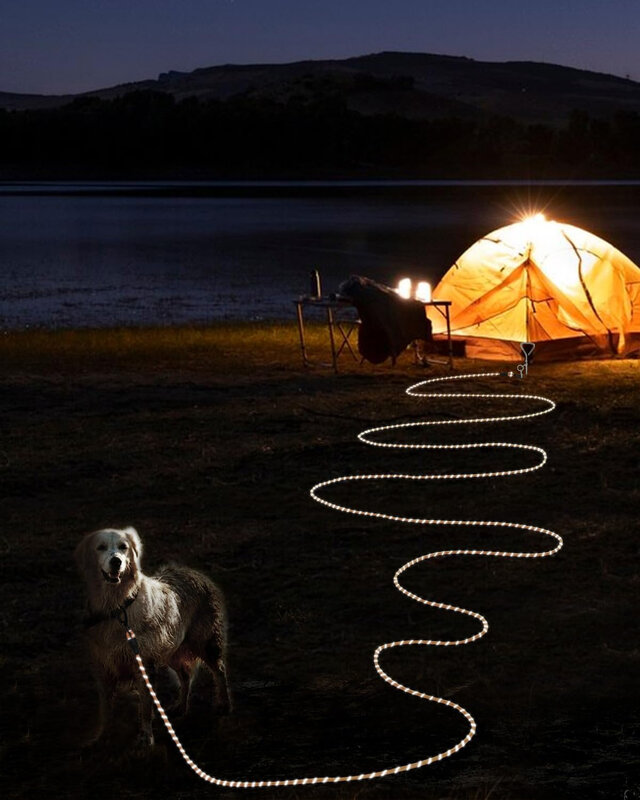 Laisse de dressage pour chien avec crochet verrouillable, poignée souple, coulée, chiens moyens et grands, laisse de camping, 10 m, 15m de long