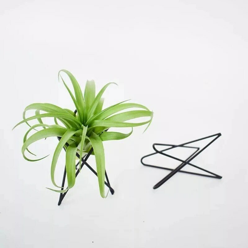 Porta piante ad Supporto per vaso da fiori in metallo Supporto geometrico in ferro Tillandsia Display Art Dropship