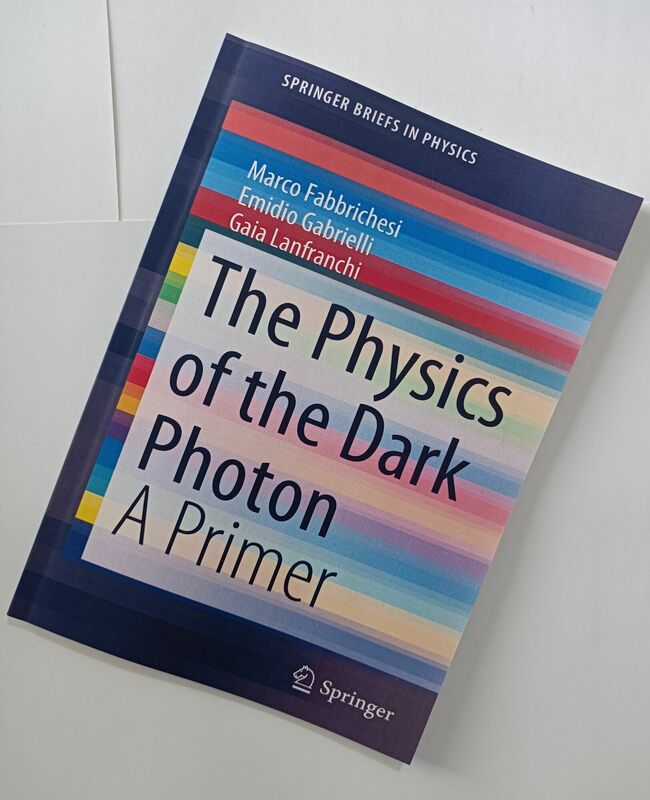De Fysica Van Het Donkere Foton: Een Primer