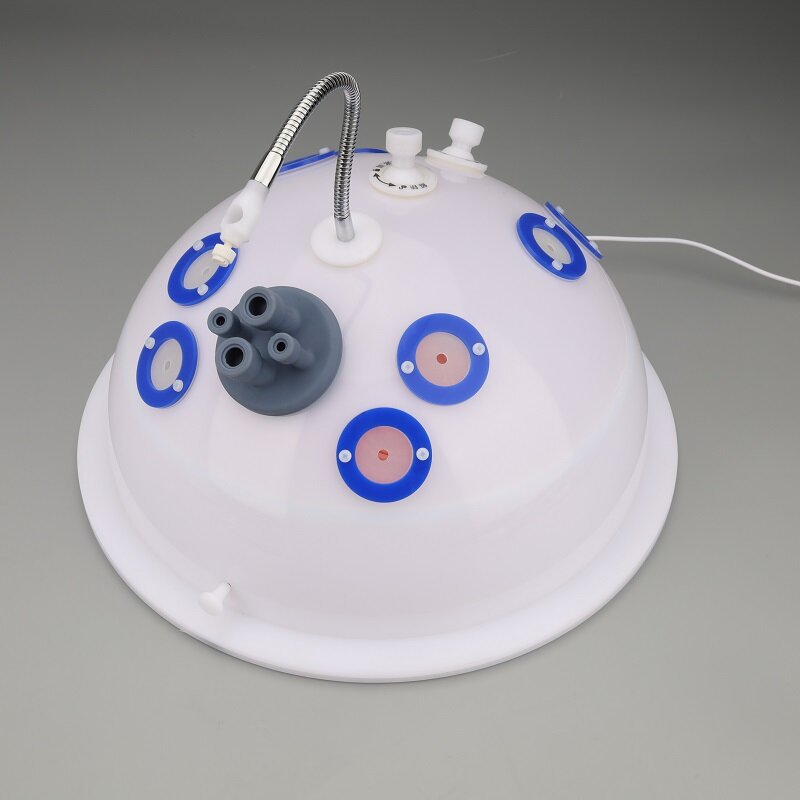 Caixa do treinamento do simulador laparoscópico, instrumentos, câmera, porta-agulha