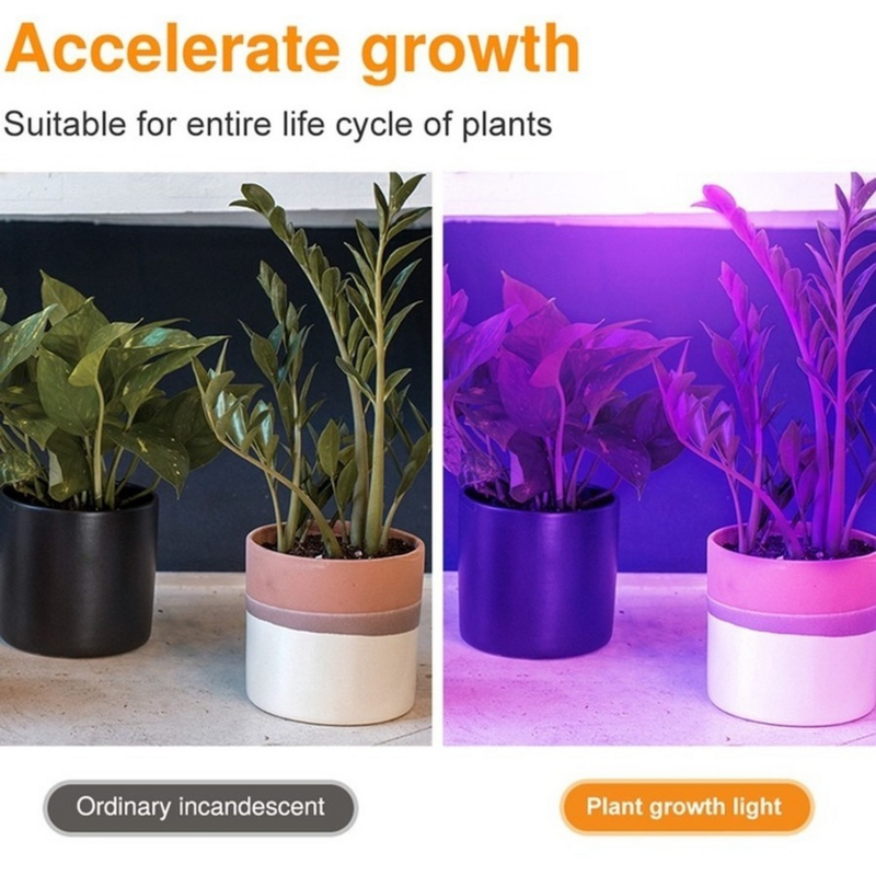 Lampe horticole de croissance LED, E27, E14, GU10, MR16, 220V, éclairage à spectre complet pour serre/chambre de culture hydroponique, plantes d'intérieur, phyto-fleurs