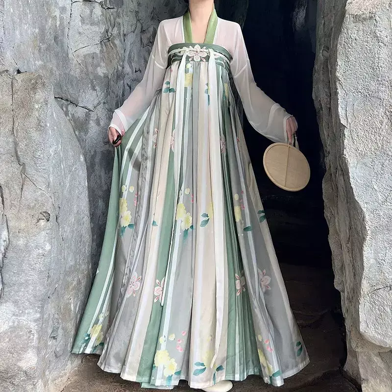Conjunto de vestido Hanfu da dinastia Tang para mulheres, estilo chinês feminino, estampa floral retrô, fantasia de palco de princesa, mulheres tradicionais, vestimenta longa elegante