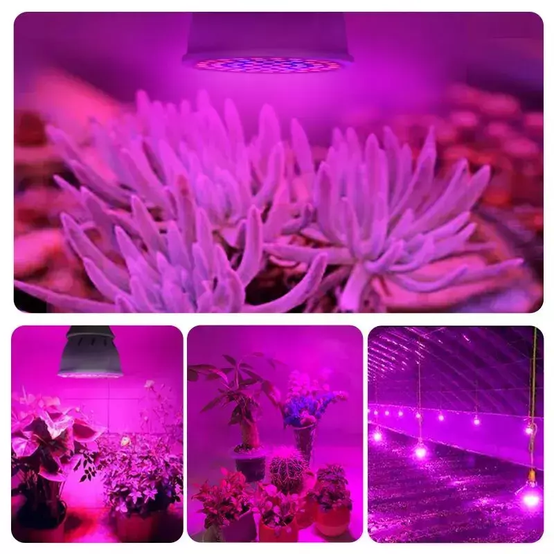 Volledige spectrumplant groeit licht, fytolampen, groeiende gloeilamp voor broeikasgroei, E27, 60LEDs, 220V