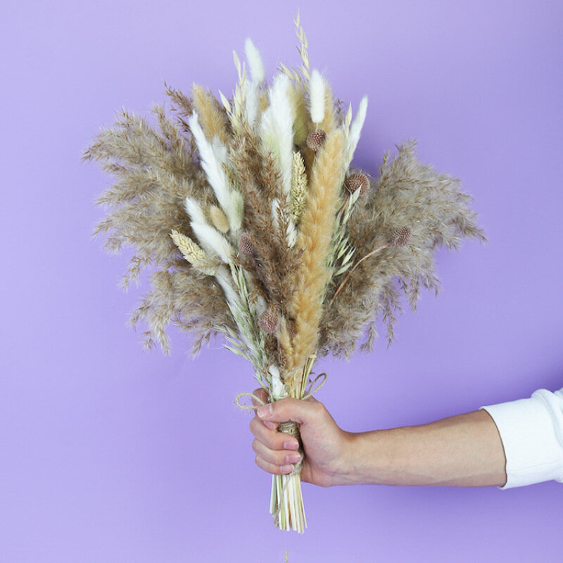 Натуральные пушистые сухие цветы настоящая тростниковая трава натуральные сухие пампасы Трава Декор Свадебный цветок «сделай сам» богемный Декор для дома