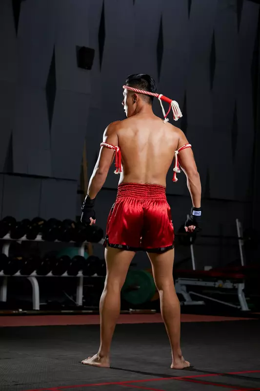 PUGILIST-P2 Shorts para Boxe, Secagem Rápida, Tigre, Boxe, Esportes, Bordados, Boxe, Muay Thai