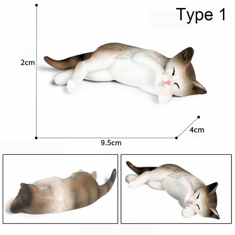 Juguete educativo de micropaisaje de ciencia y naturaleza, Animal realista para dormir, gatitos, modelo de gato para mascotas, Aprendizaje Temprano