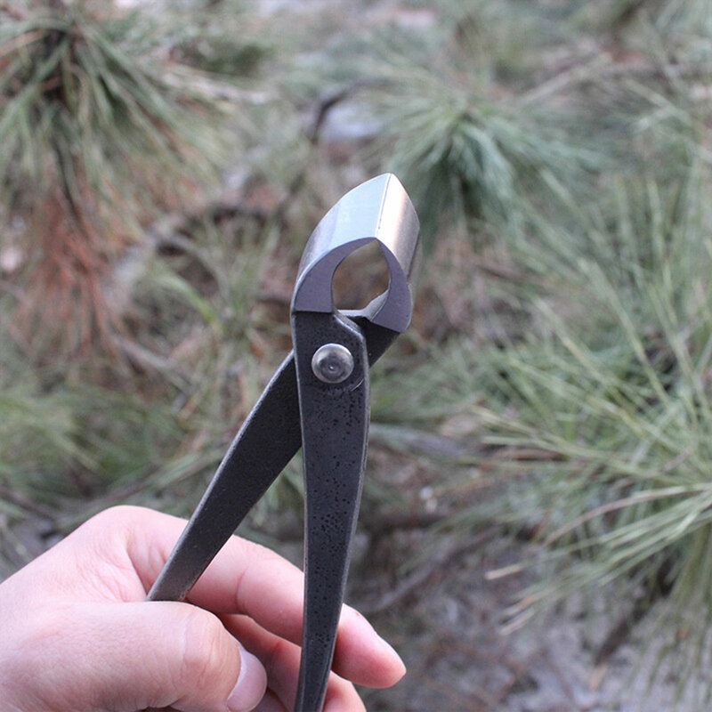 Бонсай ручка резак вогнутые кромки резак плоскогубцы для резки корней ножницы для ножниц для моделирования ландшафта садовые инструменты для бонсая 210 мм