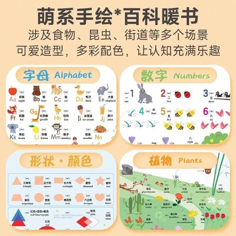 ตัวอักษรจีนและอังกฤษสำหรับเด็กอ่านออกเสียงสารานุกรมความรู้ความเข้าใจในเด็กปฐมวัยหนังสือนักเรียน