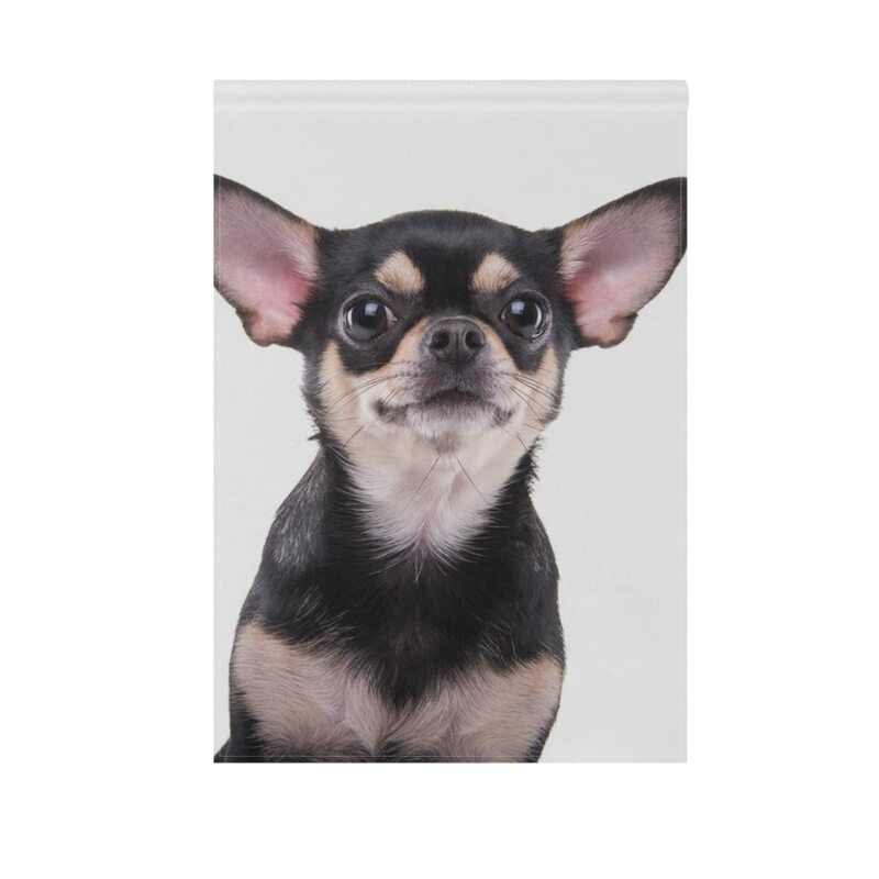 Chien Chihuahua noir souriant mignon, sensation d'animal de jardin, maison double face, drapeaux de cour, décoration extérieure pour pelouse, décor de fête