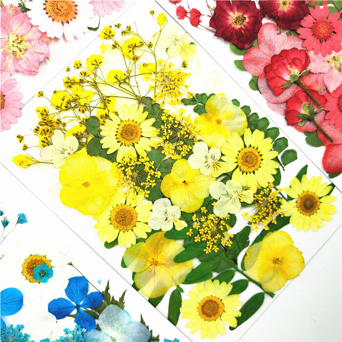 Material en relieve de flores secas envueltas con pegamento de marcapáginas de flores secas diy, carcasa de teléfono móvil, planta de flores en relieve
